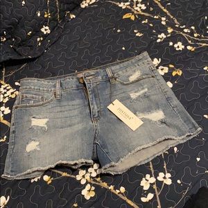 Distressed Fray Hem Denim Shorts